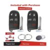 KeylessOption Mando a distancia de entrada sin llave_2
