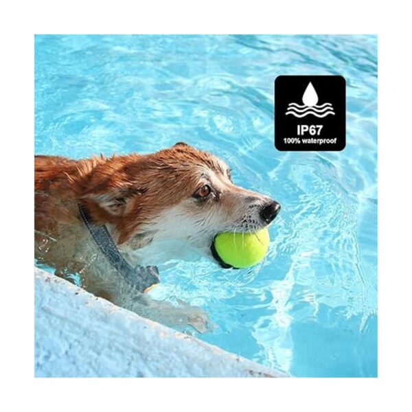 Bousnic Collar de entrenamiento para perros para 2_4