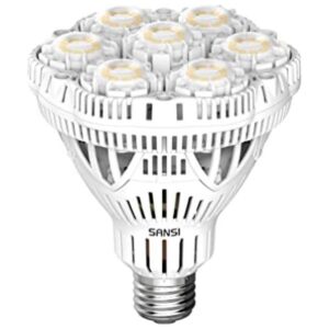 SANSI Bombilla LED de 300 vatios bombilla LED brillante_1