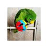 BWOGUE 5 juguetes de loro de pájaros campana colgante