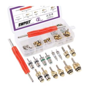 Swpeet 41 piezas R12 R134a AC Master Valve Core Kit de