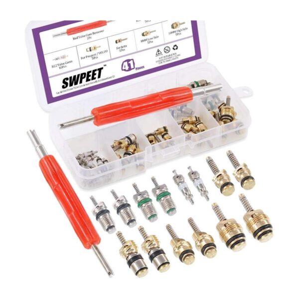 Swpeet 41 piezas R12 R134a AC Master Valve Core Kit de