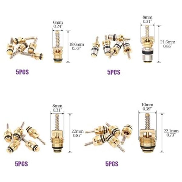 Swpeet 41 piezas R12 R134a AC Master Valve Core Kit de