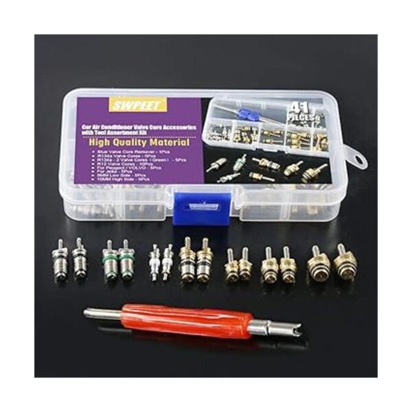 Swpeet 41 piezas R12 R134a AC Master Valve Core Kit de