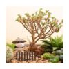 OUNONA Valla de jardín en miniatura para valla de madera