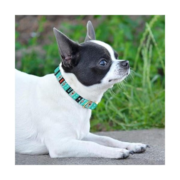 CollarDirect Collar de perro de nailon con hebilla tribal
