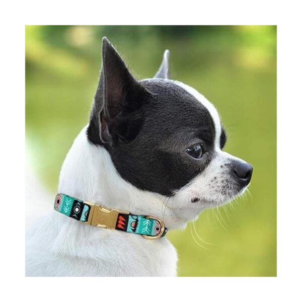 CollarDirect Collar de perro de nailon con hebilla tribal