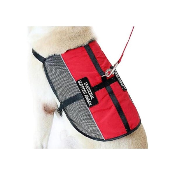PLUTUS PET Emotional Support Dog Vest with 2 Free