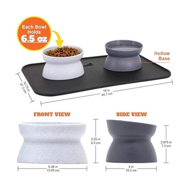 Kitty City Raised Cat Food Bowl CollectionStress Free Pet