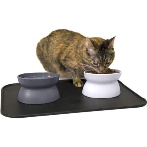 Kitty City Raised Cat Food Bowl CollectionStress Free Pet