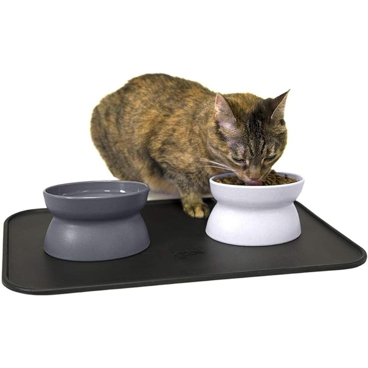 Kitty City Raised Cat Food Bowl CollectionStress Free Pet