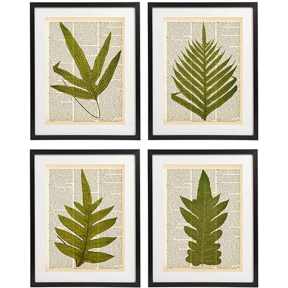 Fern Art Prints Juego de 4 piezas de arte botánico