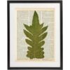 Fern Art Prints Juego de 4 piezas de arte botánico_5