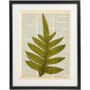 Fern Art Prints Juego de 4 piezas de arte botánico_4