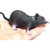 Mangdunt Paquete de 6 decoraciones de Halloween para mouse_3