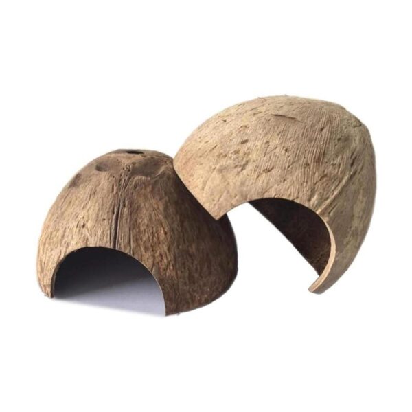 PIVBY Hidropajos de coco herradura de cangrejo natural
