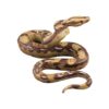Amosfun Juguete de alta simulación de Python modelo de