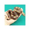 Amosfun Juguete de alta simulación de Python modelo de