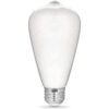 Feit Electric Infinity 3D Fireworks Bombilla LED ST19_6