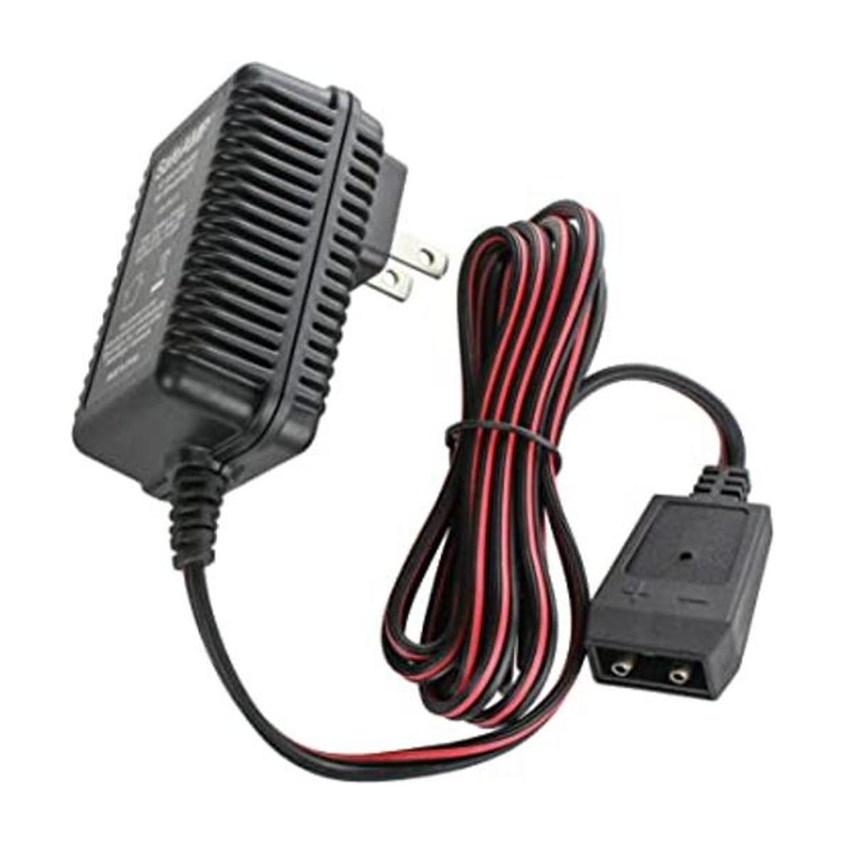 SafeAMP Cargador de 12 voltios para linternas recargables