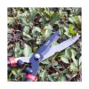 OARA Tijeras de setos de jardín para recortar bordes boj