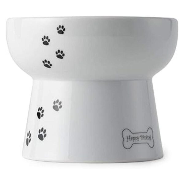 Necoichi Raised Dog Water Bowl