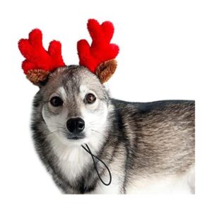 Midlee cuernos de reno navideño para perros pequeños