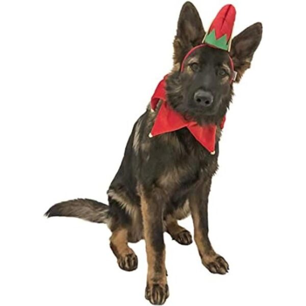 Midlee Sombrero de elfo para perro con banda de cuello