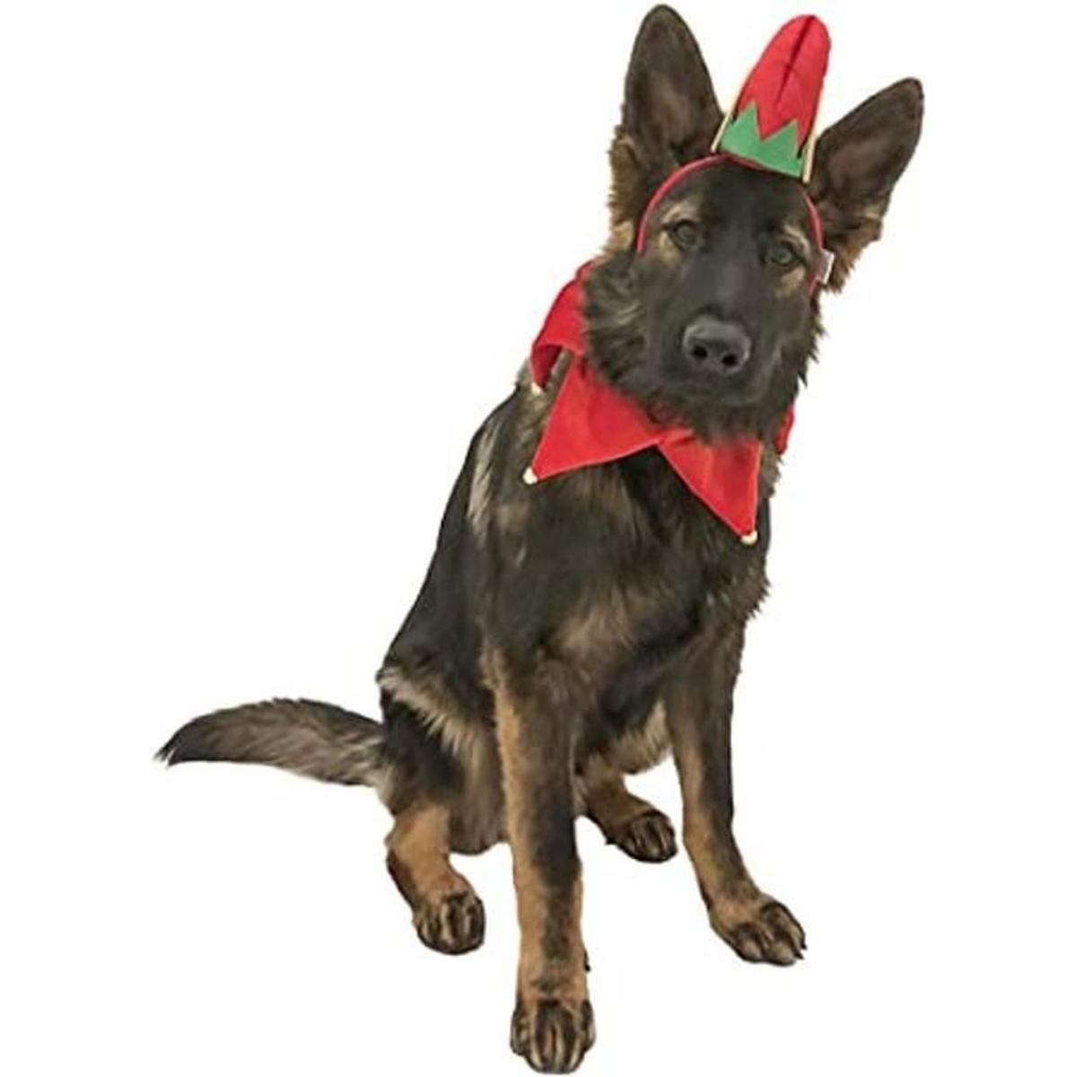 Midlee Sombrero de elfo para perro con banda de cuello
