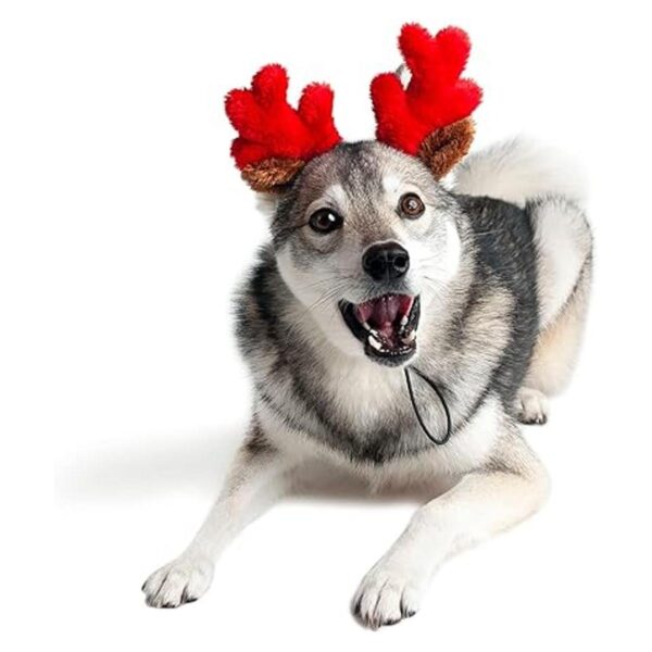 Midlee cuernos de reno navideño para perros pequeños