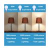 Scheinenda Bombillas LED de 3 vías equivalentes a