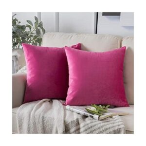 Fantoscope Juego de 2 fundas de almohada decorativas de_1