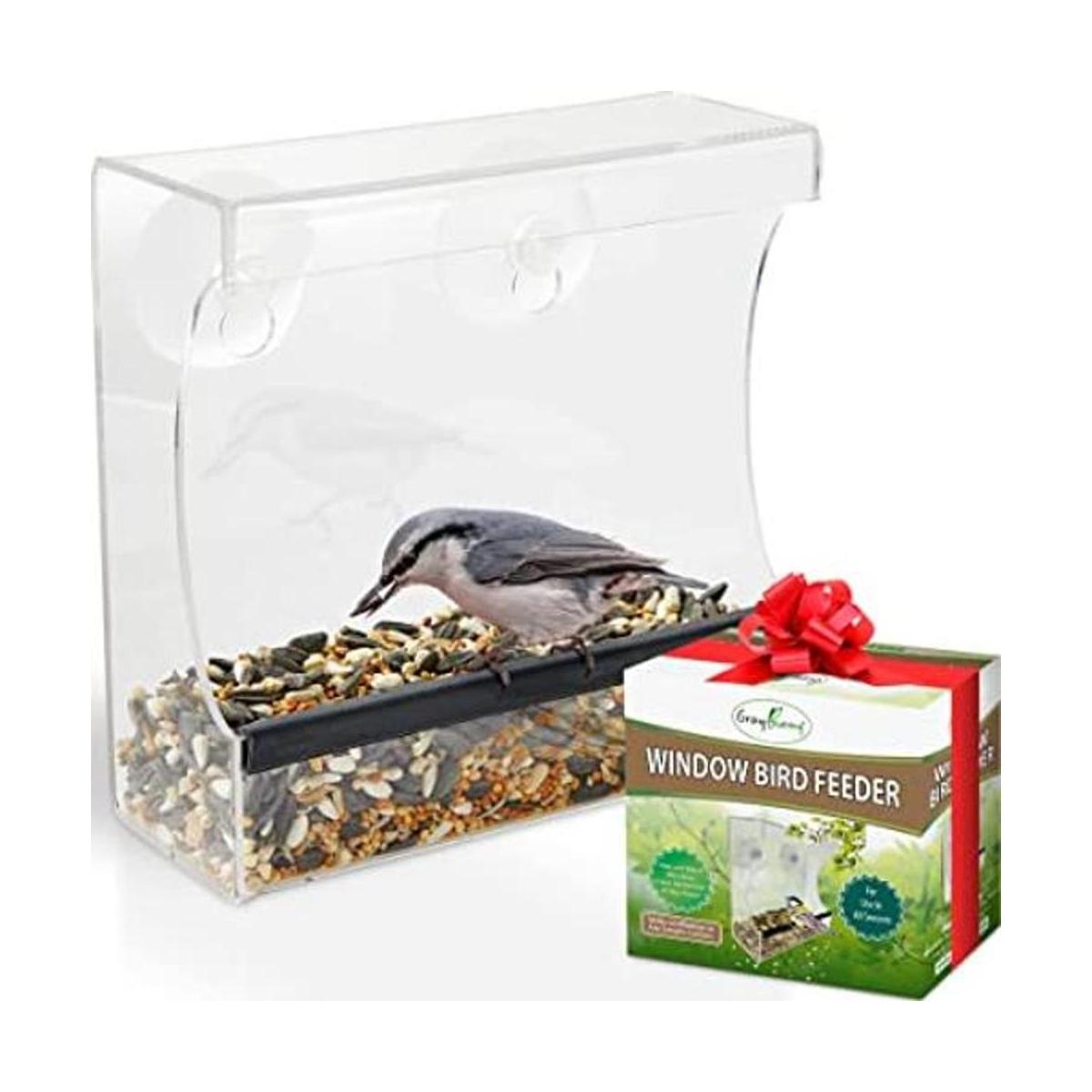 Comedero para pájaros de ventana transparente comedero