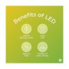 GE Bombillas LED decorativas 4 W equivalente a 40 W_5