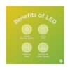 GE Reveal Bombillas LED para ventilador de techo 3.5_6