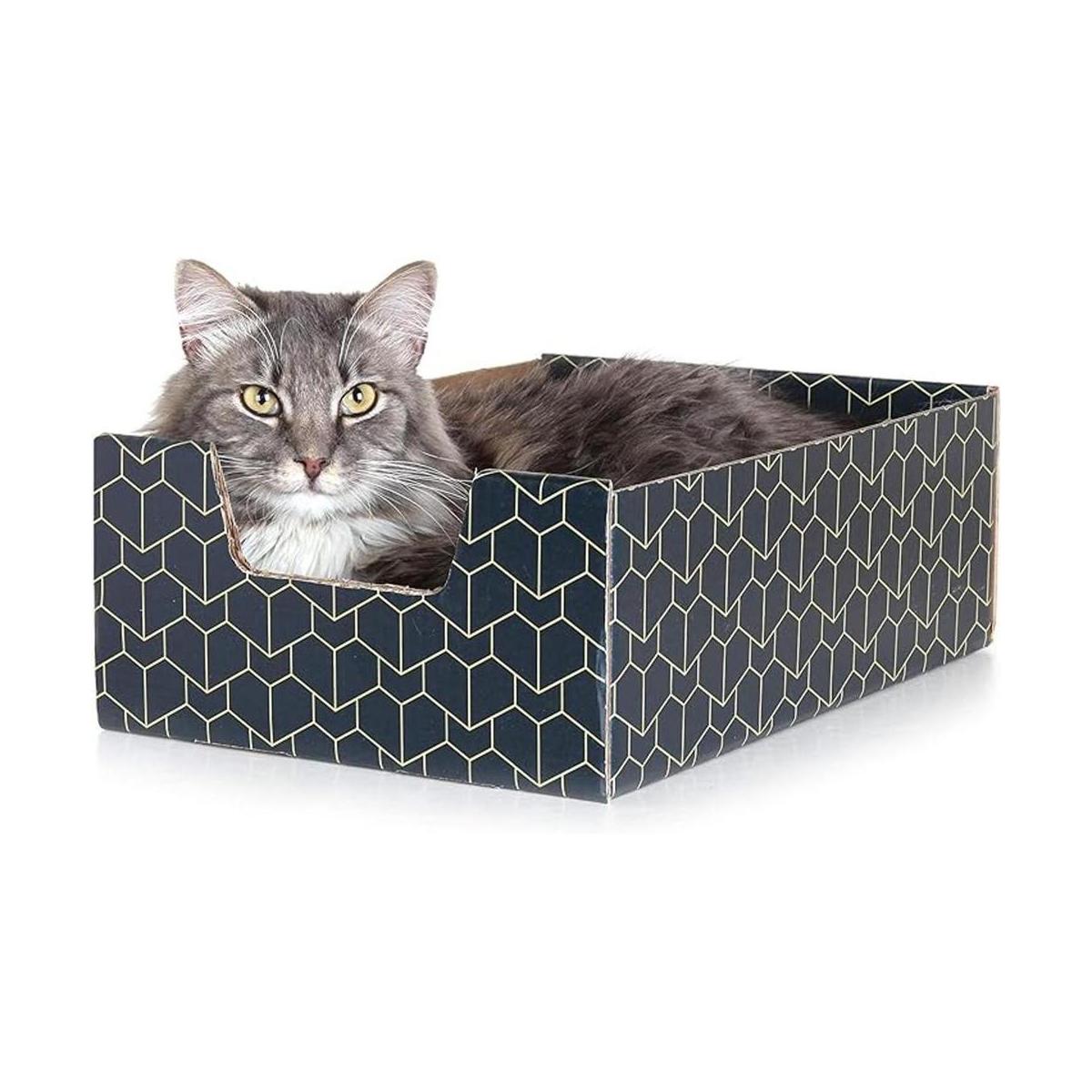 Purrfect Cat Box Azul