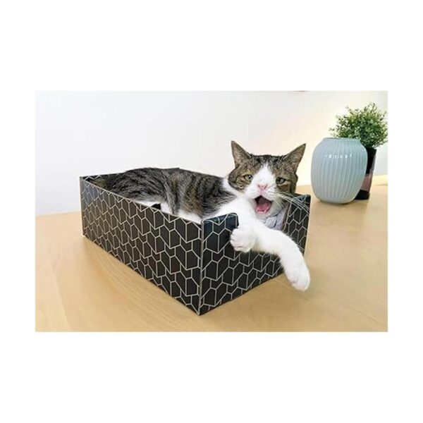 Purrfect Cat Box Azul