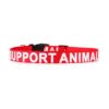 Collar de apoyo para mascotas de Plutu impreso en letras