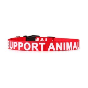 Collar de apoyo para mascotas de Plutu impreso en letras