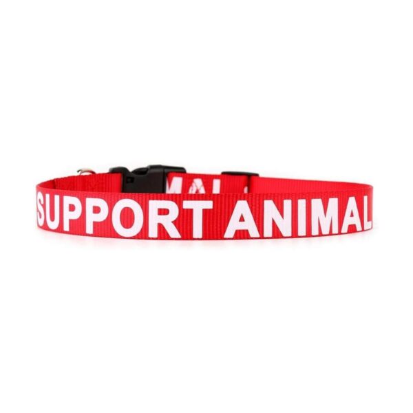Collar de apoyo para mascotas de Plutu impreso en letras