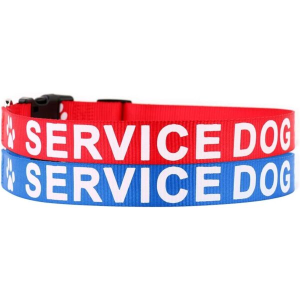 Collar para perro de Plutus impreso en letras grandes