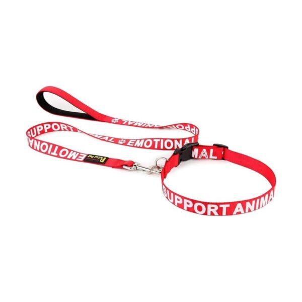 Collar de apoyo para mascotas de Plutu impreso en letras