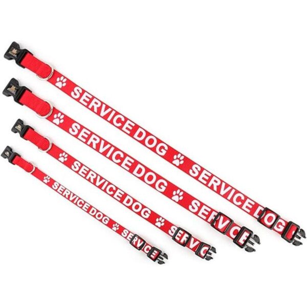 Collar para perro de Plutus impreso en letras grandes