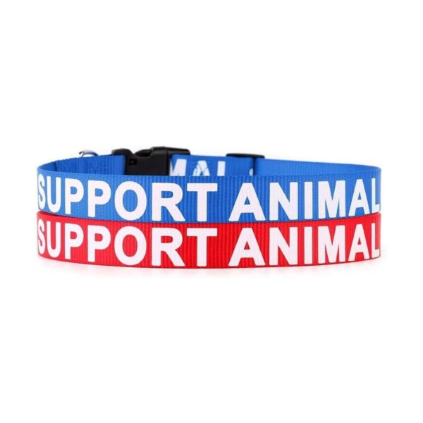 Collar de apoyo para mascotas de Plutu impreso en letras