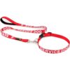 Collar para perro de Plutus impreso en letras grandes