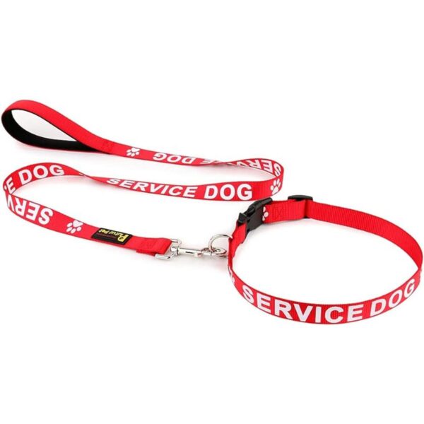 Collar para perro de Plutus impreso en letras grandes