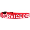 Collar para perro de Plutus impreso en letras grandes