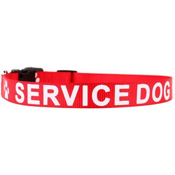 Collar para perro de Plutus impreso en letras grandes
