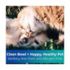 Cuencos desechables biodegradables de grado veterinario