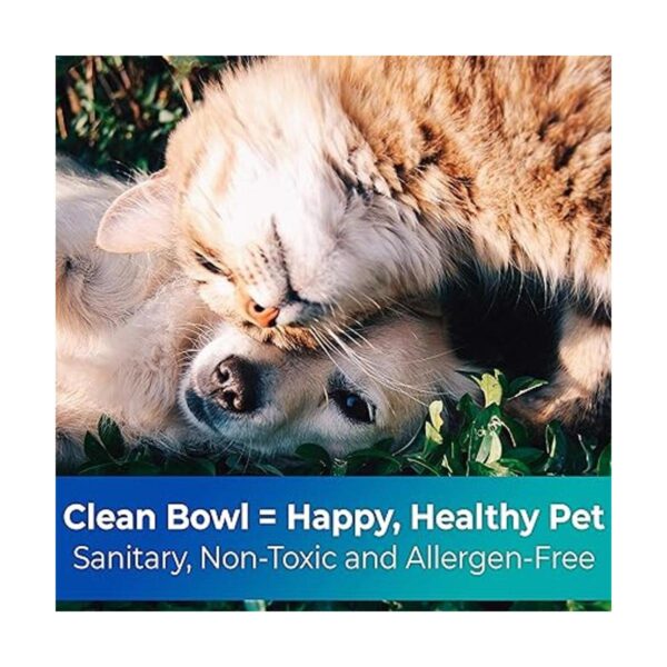 Cuencos desechables biodegradables de grado veterinario